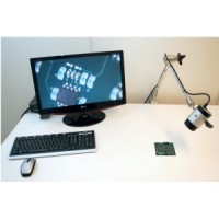 Optilia Leddet arm i rustfritt stål