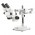 Euromex StereoBlue binokulært mikroskop med dobbelt horisontal arm