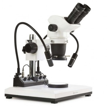 Euromex belysningsstasjon LE.5212, montert på mikroskop