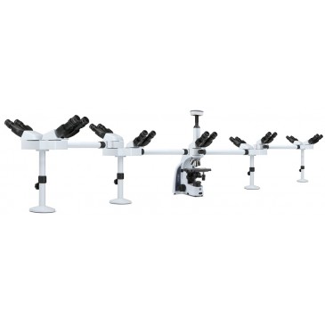 iScope multihead mikroskop